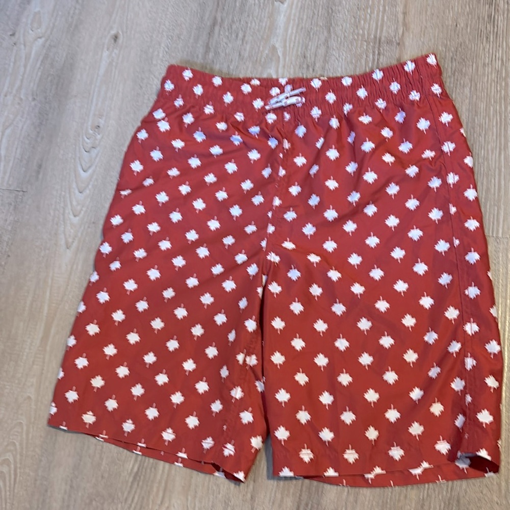 Joe Fresh Maple Leaf Swim Shorts